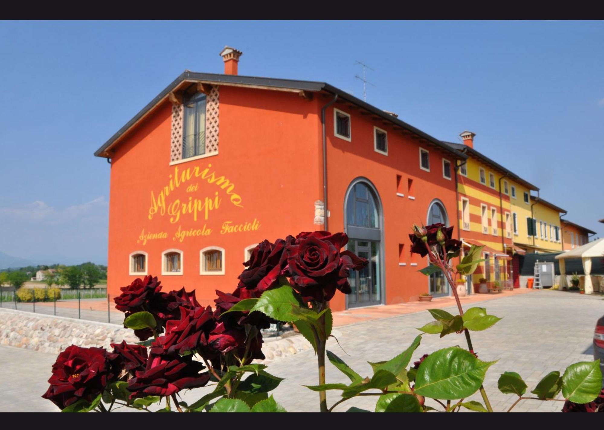 Agriturismo Dei Grippi Sona Exterior foto